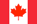 Language Icon
